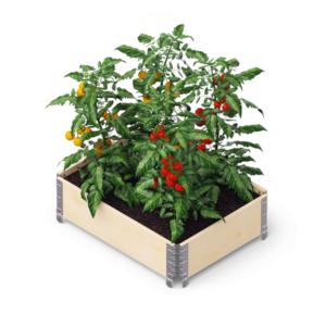 Palešu apmale GARDENBOX