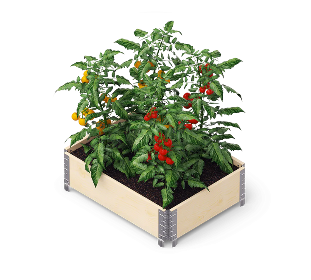 Palešu apmale GARDENBOX
